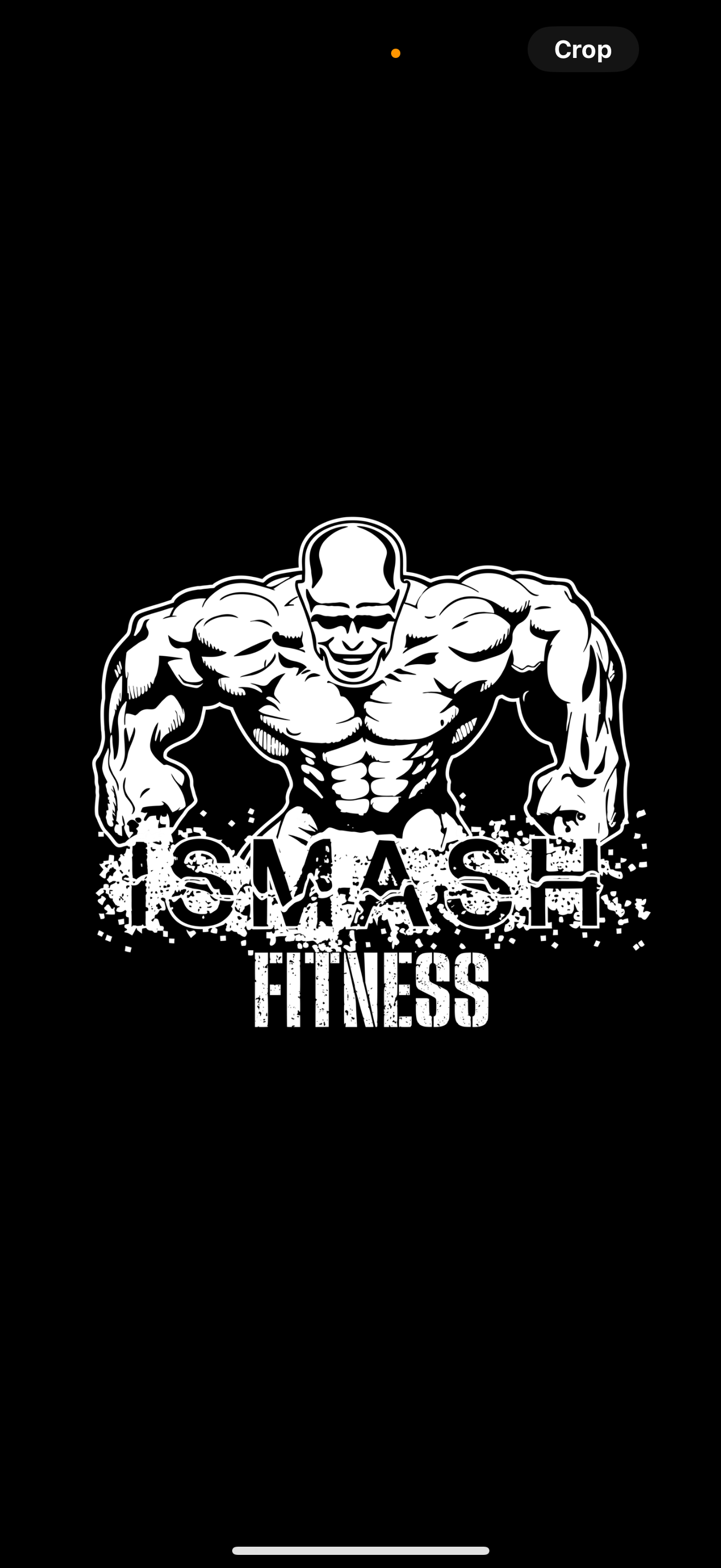 iSmashfitness Gym Champ Tees